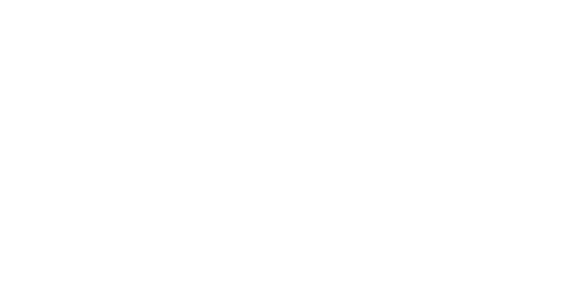 shadow shadow